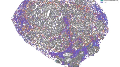 Cell-cell communications featured image