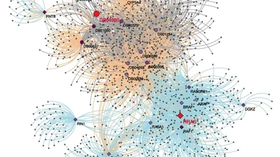 Random Walk with Restart on multilayer networks: from node prioritisation to supervised link prediction and beyond featured image